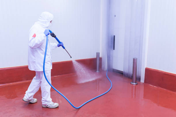 Best Sidewalk and Walkway Pressure Cleaning in Goodwater, AL