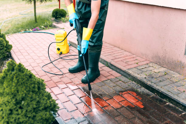 Best Vinyl Siding Pressure Washing in Goodwater, AL